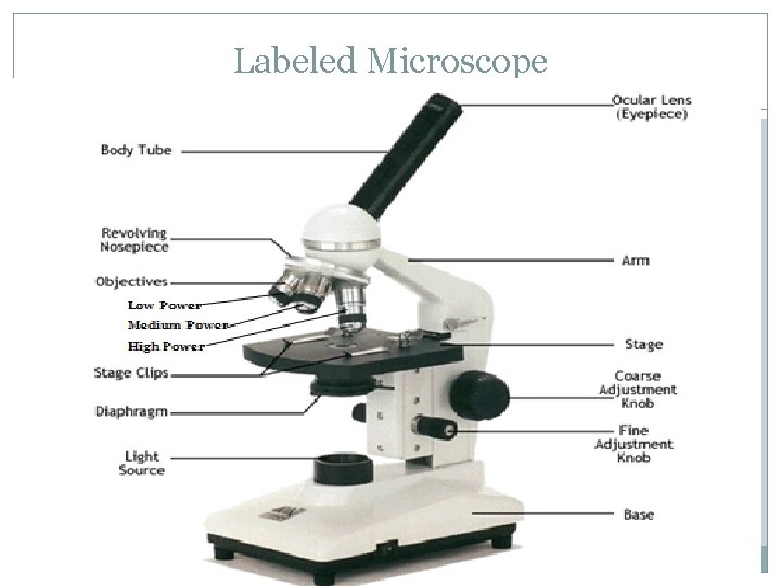 Labeled Microscope 