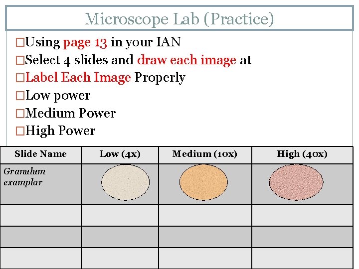 Microscope Lab (Practice) �Using page 13 in your IAN �Select 4 slides and draw