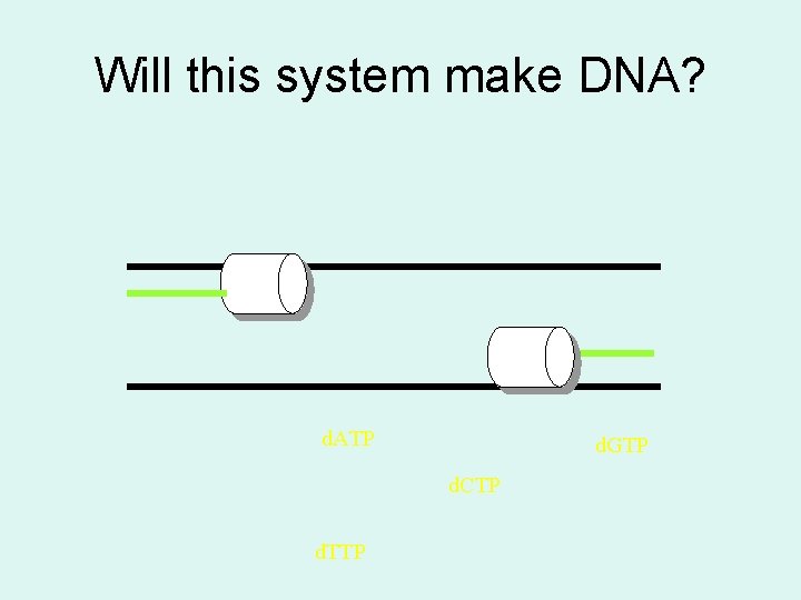 Will this system make DNA? d. ATP d. GTP d. CTP d. TTP 