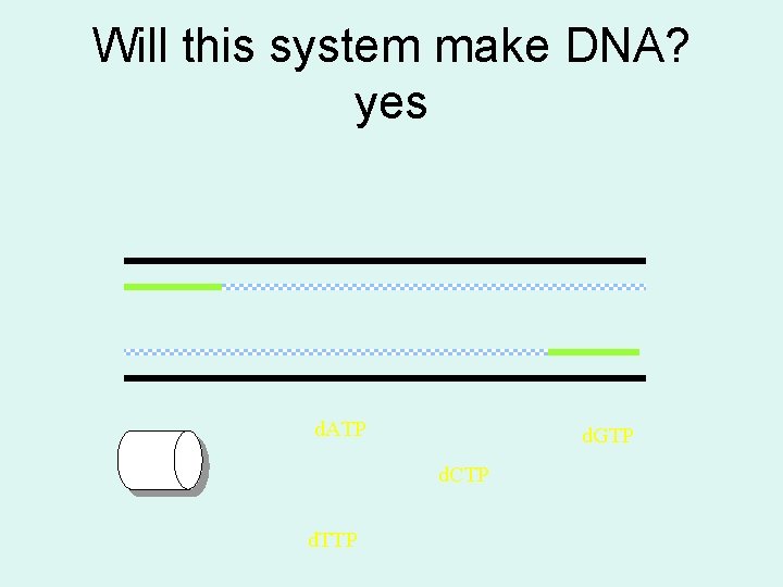 Will this system make DNA? yes d. ATP d. GTP d. CTP d. TTP