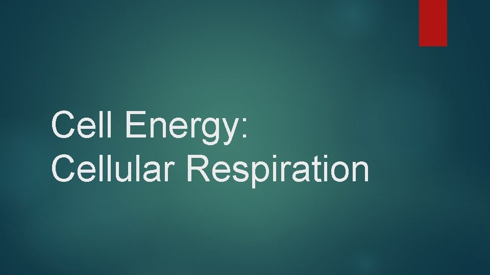 Cell Energy: Cellular Respiration 