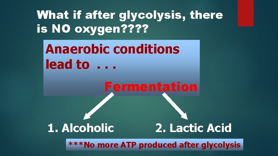 What if after glycolysis, there is NO oxygen? ? Anaerobic conditions lead to. .