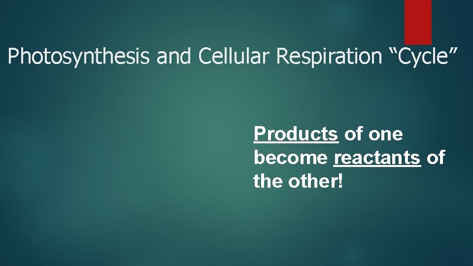 Photosynthesis and Cellular Respiration “Cycle” Products of one become reactants of the other! 