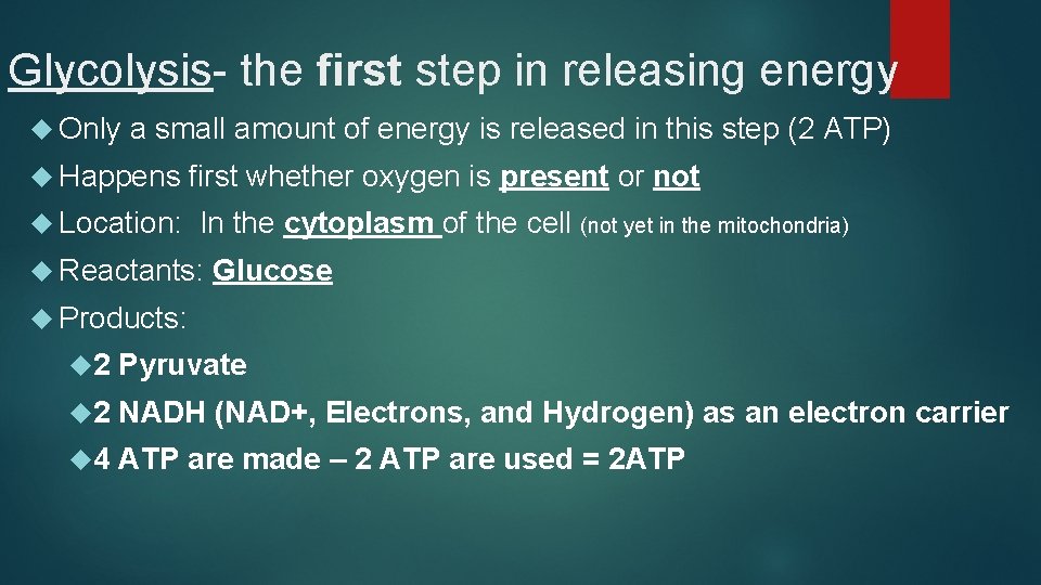 Glycolysis- the first step in releasing energy Only a small amount of energy is