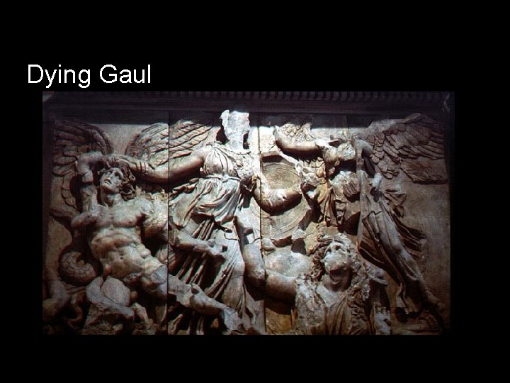 Dying Gaul 
