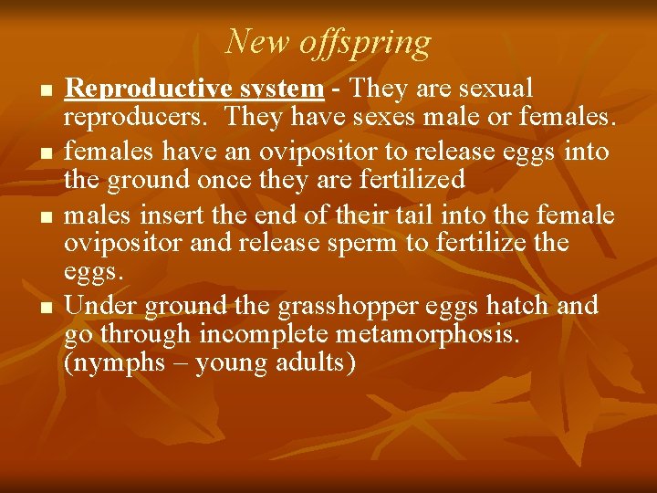 New offspring n n Reproductive system - They are sexual reproducers. They have sexes