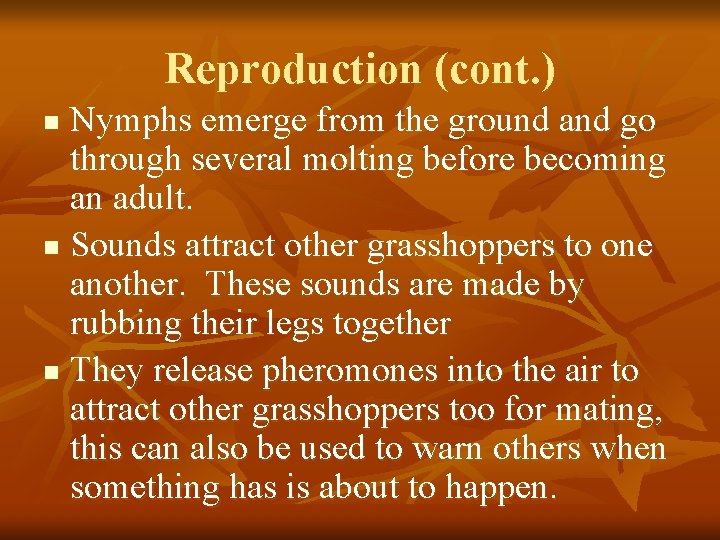 Reproduction (cont. ) Nymphs emerge from the ground and go through several molting before