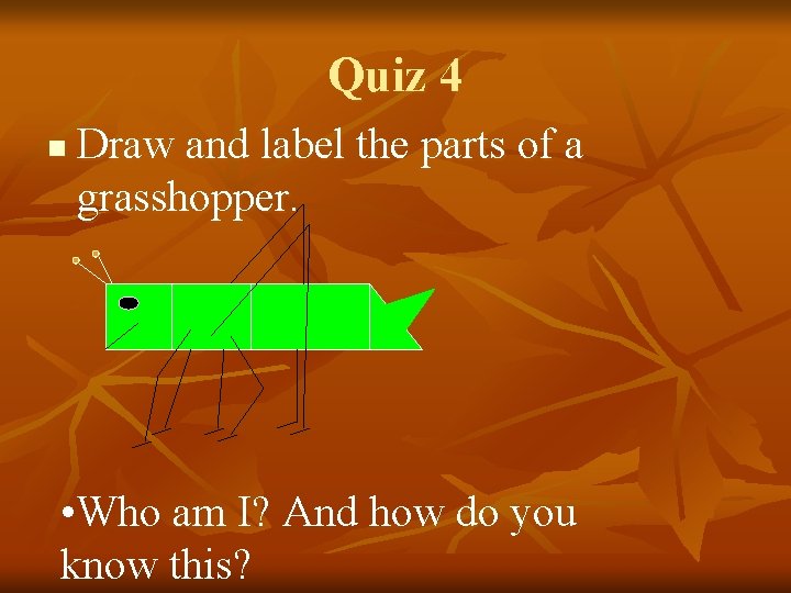 Quiz 4 n Draw and label the parts of a grasshopper. • Who am