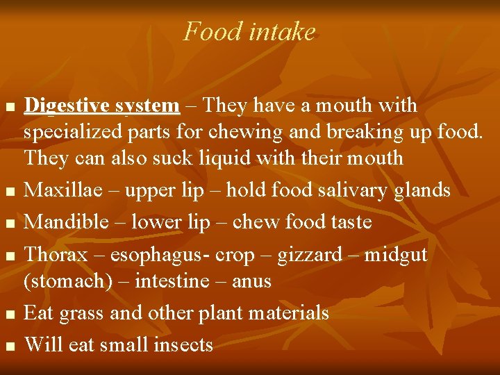 Food intake n n n Digestive system – They have a mouth with specialized