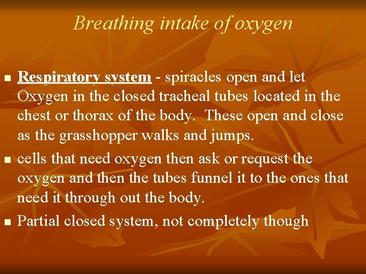 Breathing intake of oxygen n Respiratory system - spiracles open and let Oxygen in