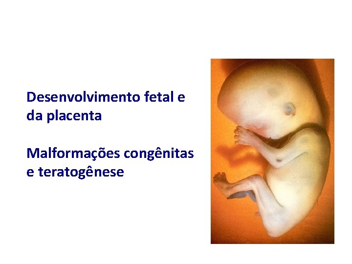 Desenvolvimento fetal e da placenta Malformações congênitas e teratogênese 