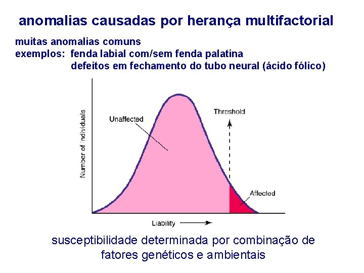 anomalias causadas por herança multifactorial muitas anomalias comuns exemplos: fenda labial com/sem fenda palatina