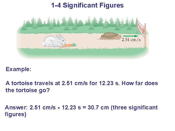 1 -4 Significant Figures Example: A tortoise travels at 2. 51 cm/s for 12.