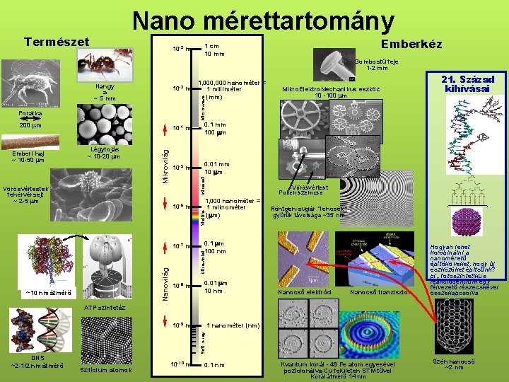 Nano mérettartomány Természet 10 -2 m Emberkéz 1 cm 10 mm Gombostű feje 1