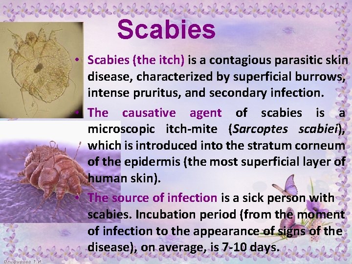 Scabies • Scabies (the itch) is a contagious parasitic skin disease, characterized by superficial