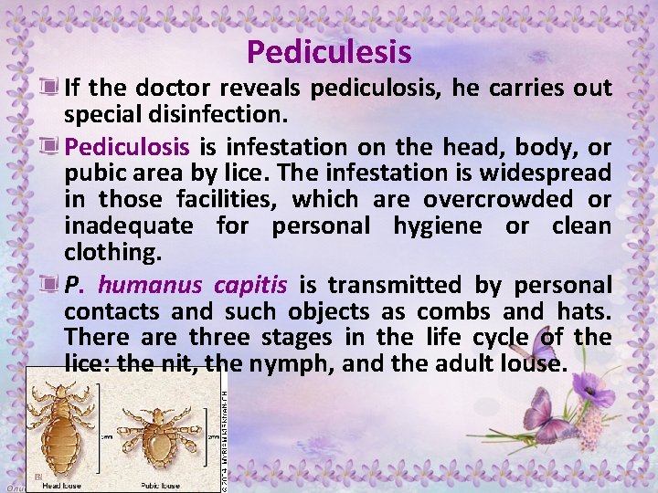 Pediculesis If the doctor reveals pediculosis, he carries out special disinfection. Pediculosis is infestation