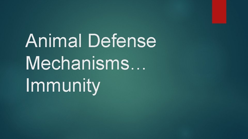 Animal Defense Mechanisms… Immunity 