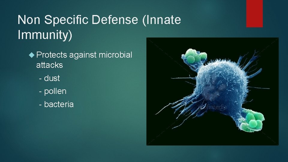 Non Specific Defense (Innate Immunity) Protects against microbial attacks - dust - pollen -