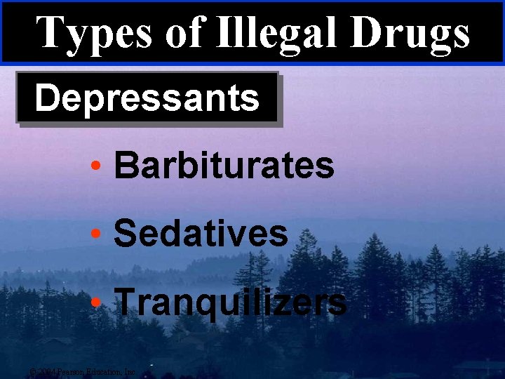 Types of Illegal Drugs Depressants • Barbiturates • Sedatives • Tranquilizers © 2004 Pearson