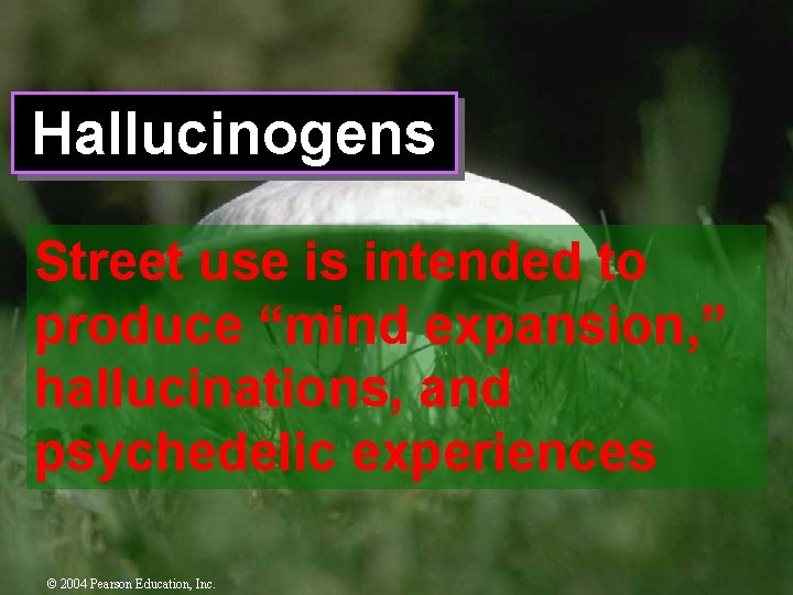 Hallucinogens Street use is intended to produce “mind expansion, ” hallucinations, and psychedelic experiences