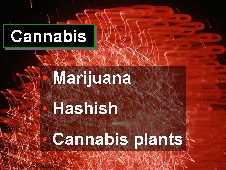 Cannabis • Marijuana • Hashish • Cannabis plants © 2004 Pearson Education, Inc. 