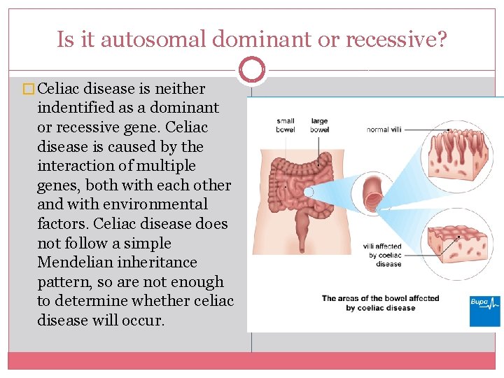 Is it autosomal dominant or recessive? � Celiac disease is neither indentified as a