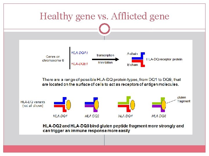 Healthy gene vs. Afflicted gene 