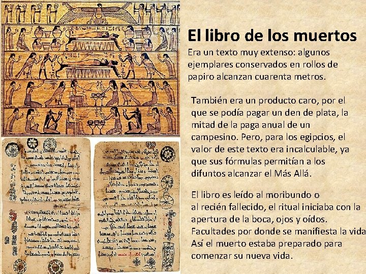 El libro de los muertos Era un texto muy extenso: algunos ejemplares conservados en