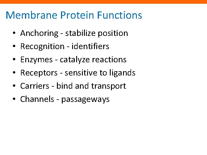 Membrane Protein Functions • • • Anchoring - stabilize position Recognition - identifiers Enzymes