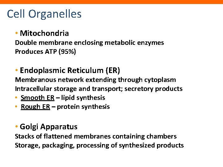Cell Organelles • Mitochondria Double membrane enclosing metabolic enzymes Produces ATP (95%) • Endoplasmic