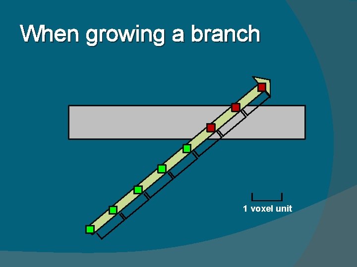 [ [ [ [ When growing a branch [ 1 voxel unit 