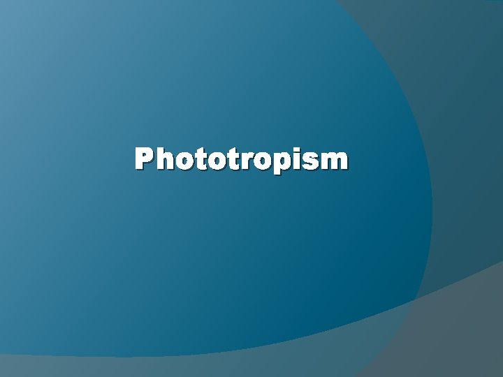 Phototropism 