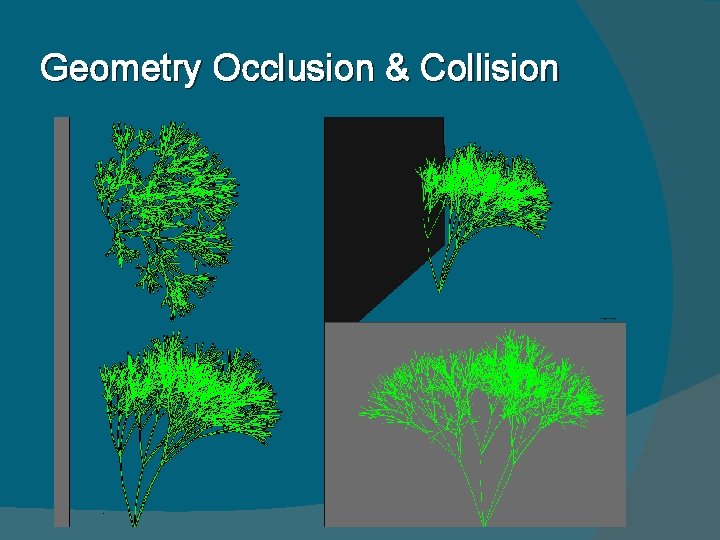 Geometry Occlusion & Collision 