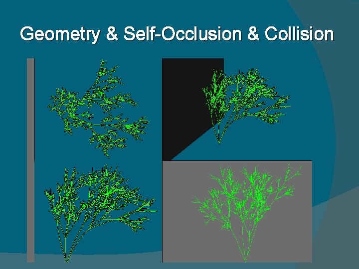 Geometry & Self-Occlusion & Collision 