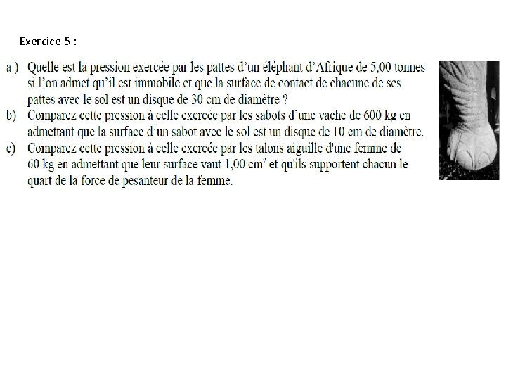 Exercice 5 : Exercice 5 :