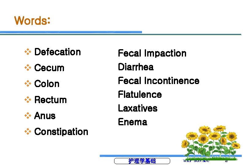 Words: v Defecation Fecal Impaction v Cecum Diarrhea Fecal Incontinence v Colon v Rectum