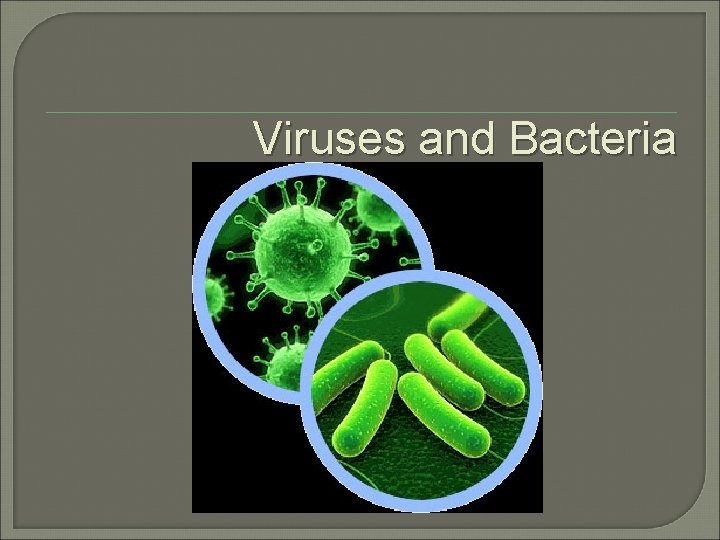 Viruses and Bacteria 