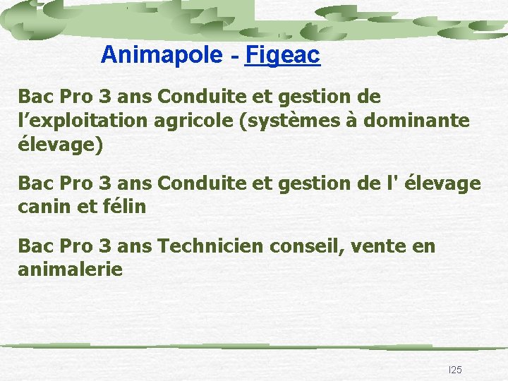 Animapole - Figeac Bac Pro 3 ans Conduite et gestion de l’exploitation agricole (systèmes