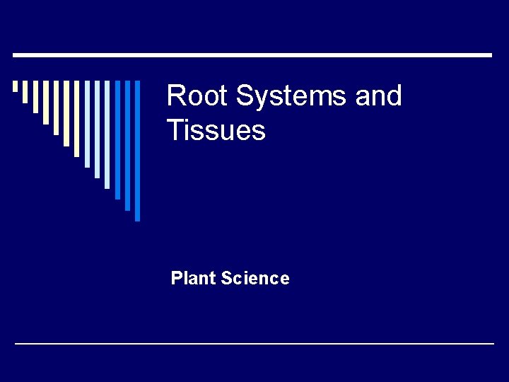 Root Systems and Tissues Plant Science Root Systems and Tissues Plant Science