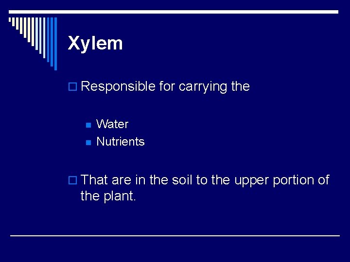 Xylem o Responsible for carrying the n n Water Nutrients o That are in Xylem o Responsible for carrying the n n Water Nutrients o That are in