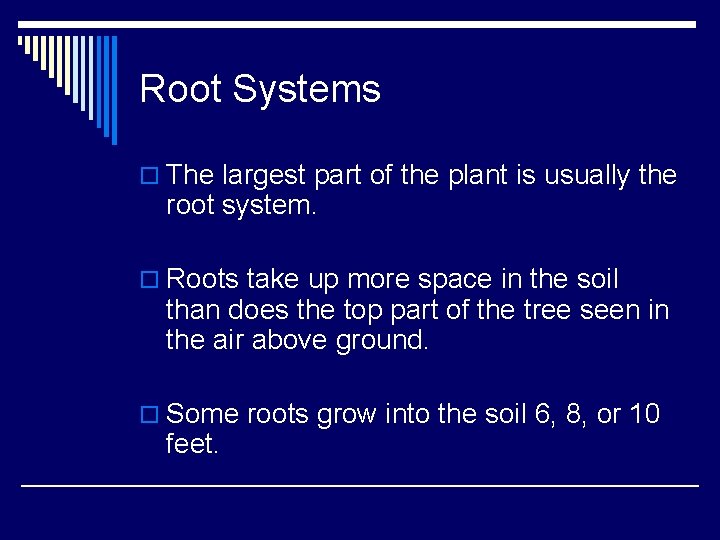 Root Systems o The largest part of the plant is usually the root system. Root Systems o The largest part of the plant is usually the root system.