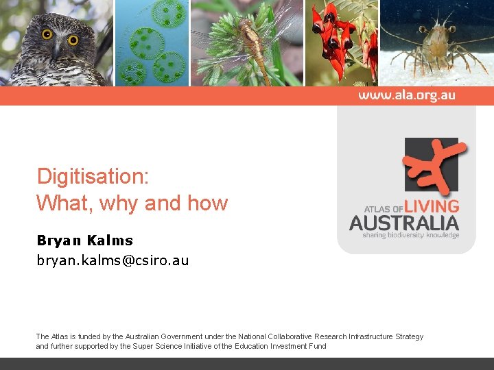 Digitisation: What, why and how Bryan Kalms bryan. kalms@csiro. au The Atlas is funded