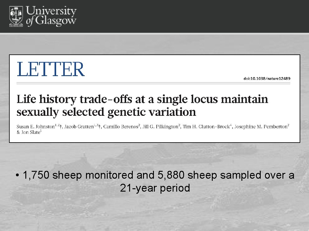  • 1, 750 sheep monitored and 5, 880 sheep sampled over a 21