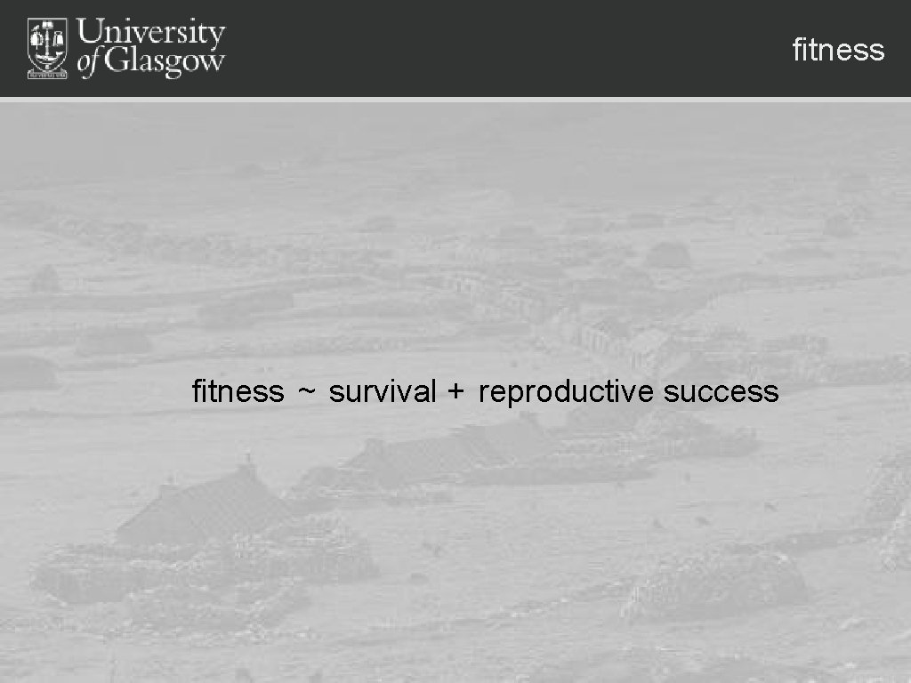 fitness ~ survival + reproductive success 