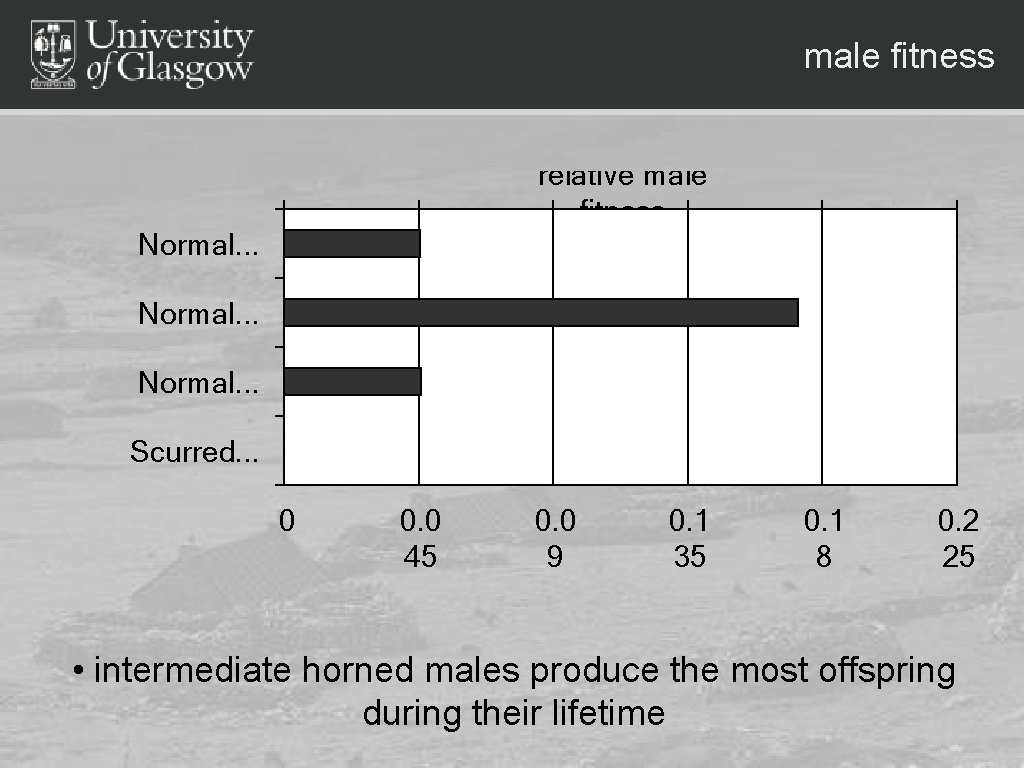 male fitness relative male fitness Normal. . . Scurred. . . 0 0. 0