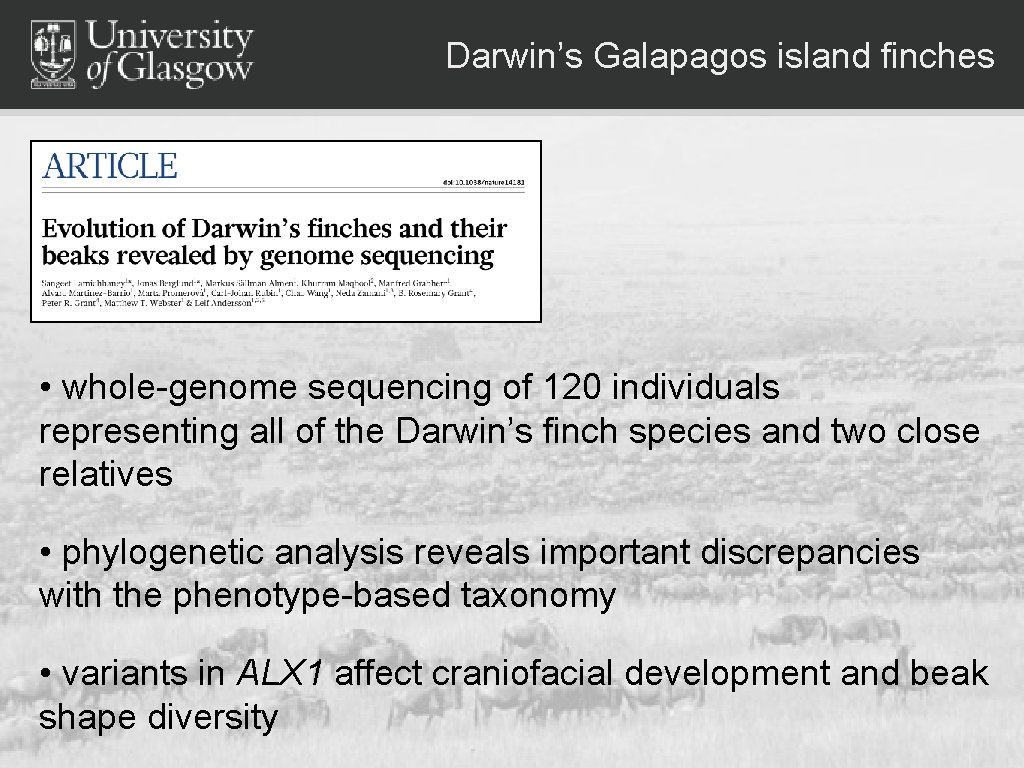 Darwin’s Galapagos island finches • whole-genome sequencing of 120 individuals representing all of the