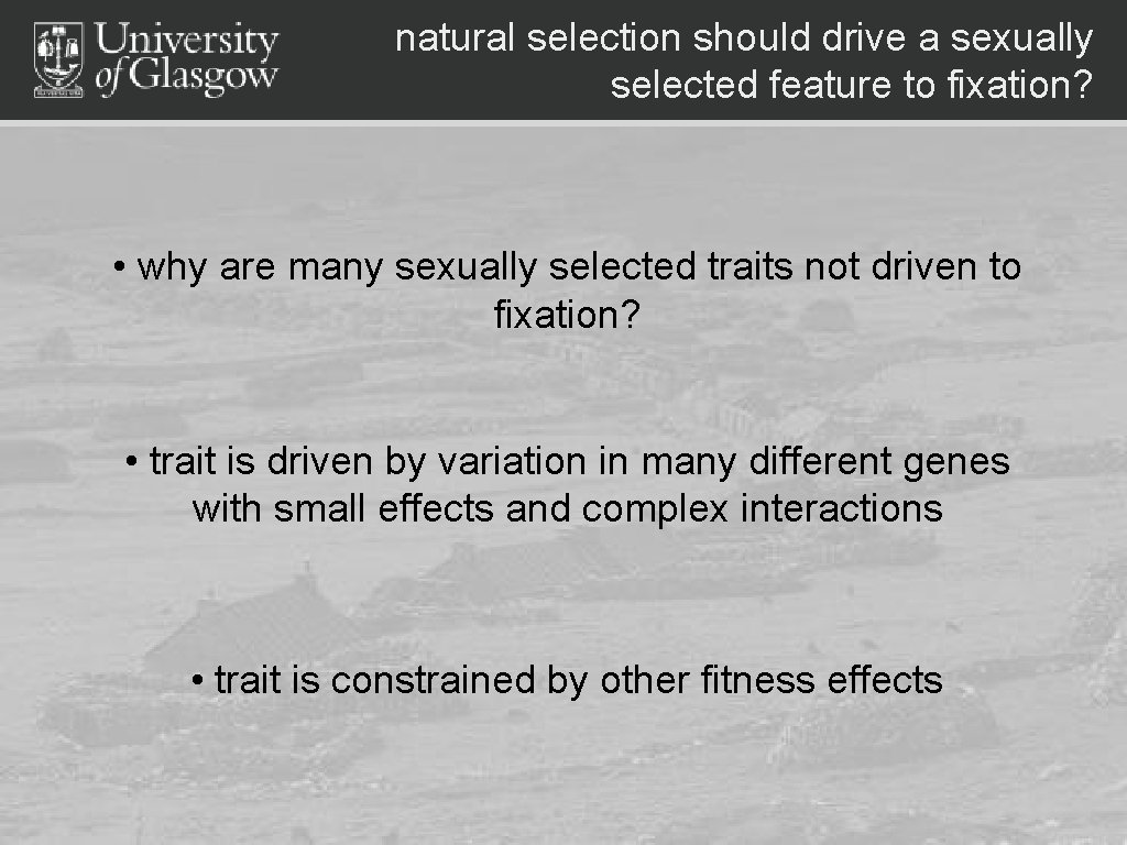 natural selection should drive a sexually selected feature to fixation? • why are many