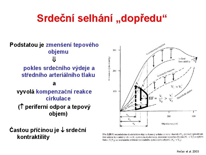 Srdeční selhání „dopředu“ Podstatou je zmenšení tepového objemu pokles srdečního výdeje a středního arteriálního