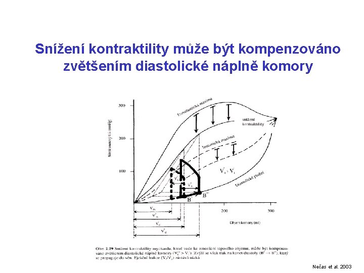 Snížení kontraktility může být kompenzováno zvětšením diastolické náplně komory Nečas et al. 2003 