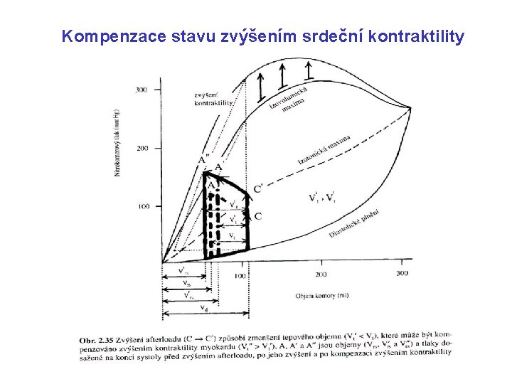 Kompenzace stavu zvýšením srdeční kontraktility 